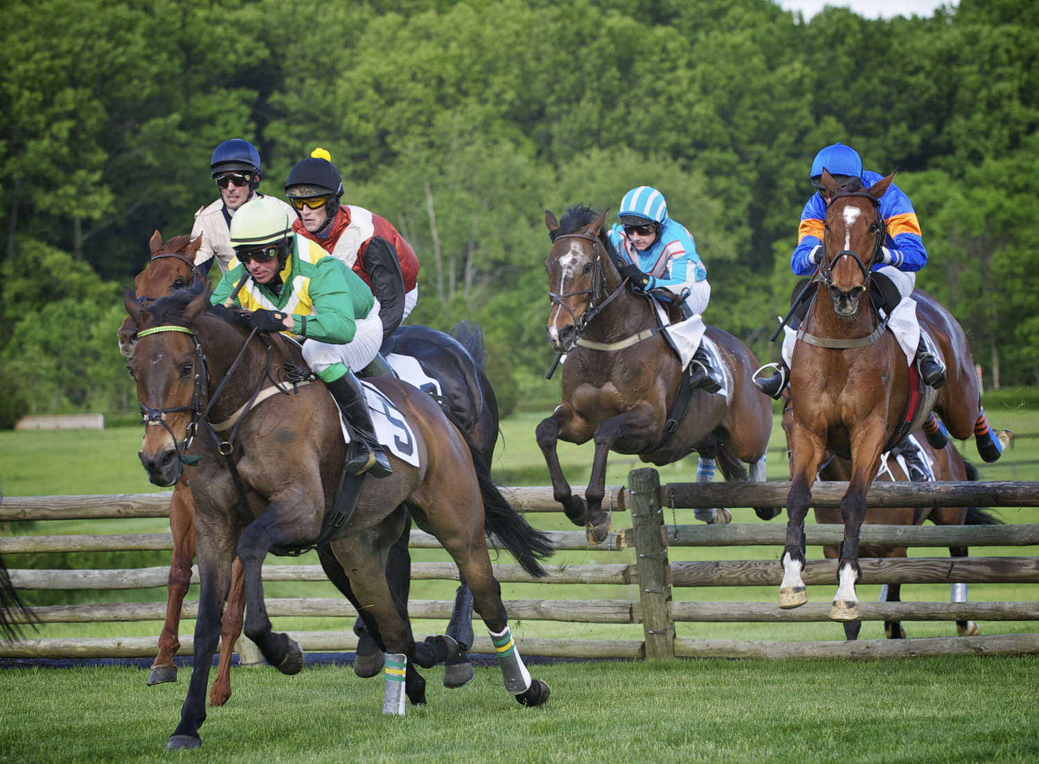 2013+Iroquois+Steeplechase+93 2013+Iroquois+Steeplechase+93