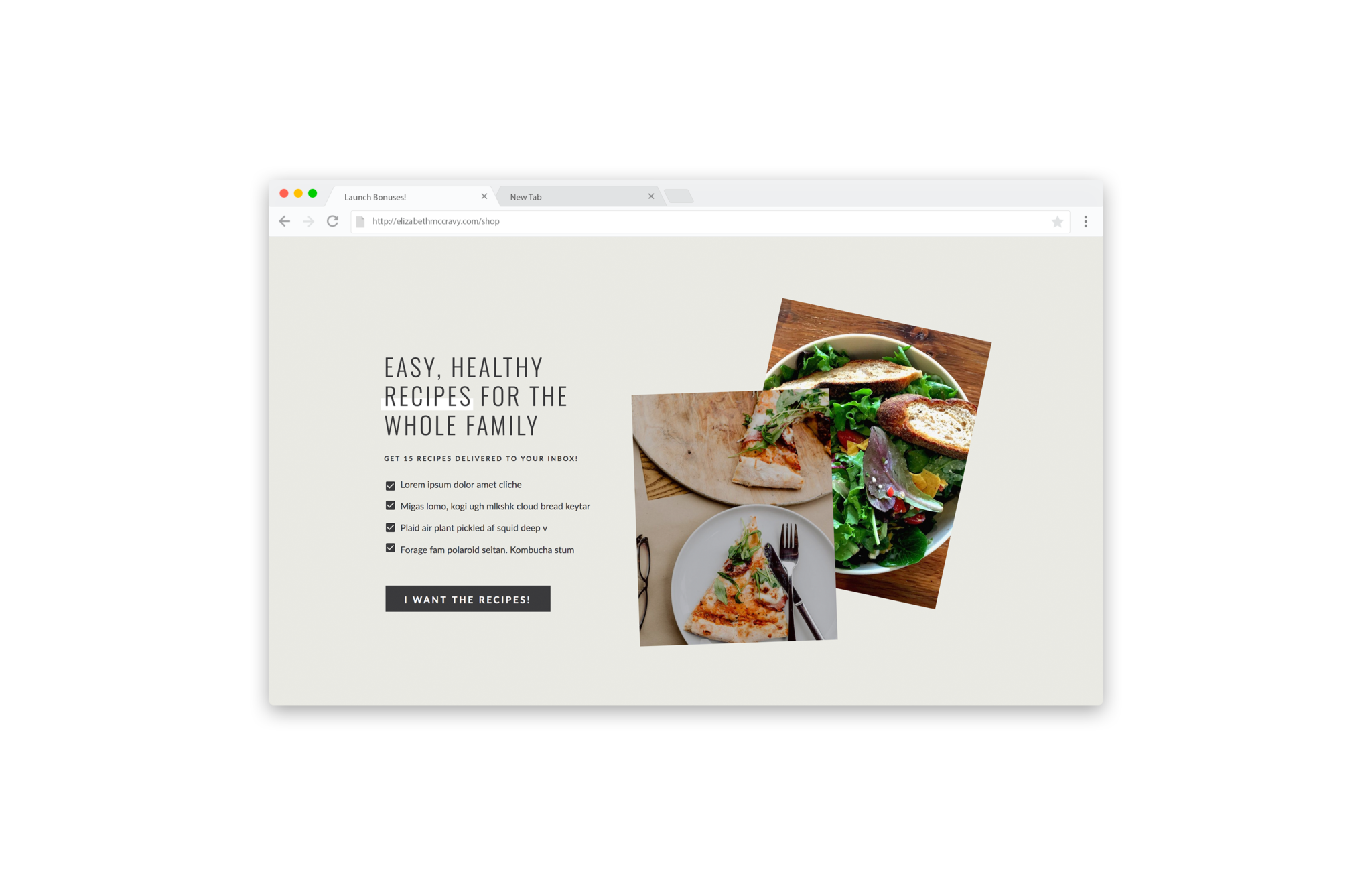 How to do an opt-in page in Showit - Landing Page Templates, Lead Page Templates for Showit5
