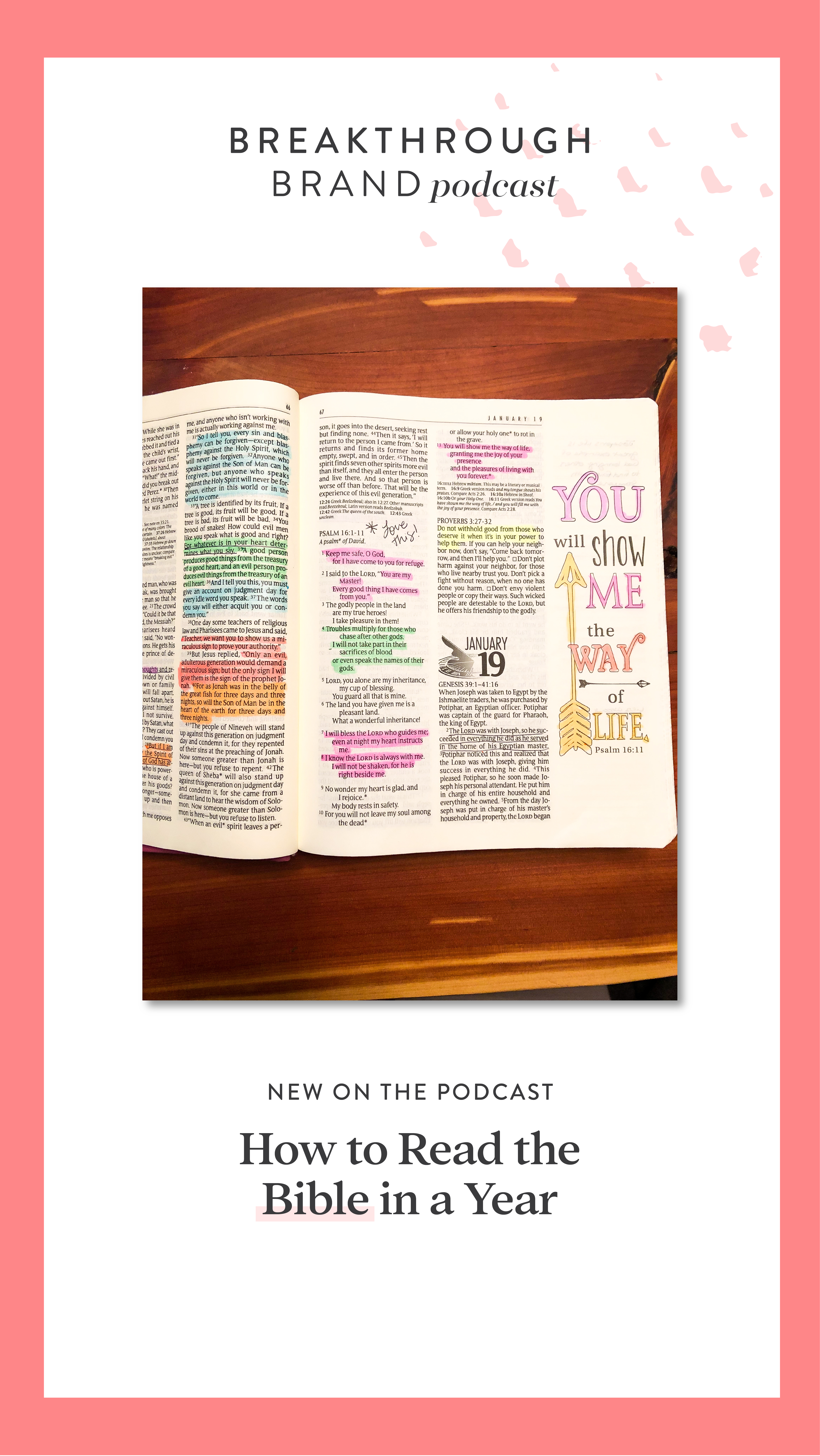 My experience reading the Bible in a year