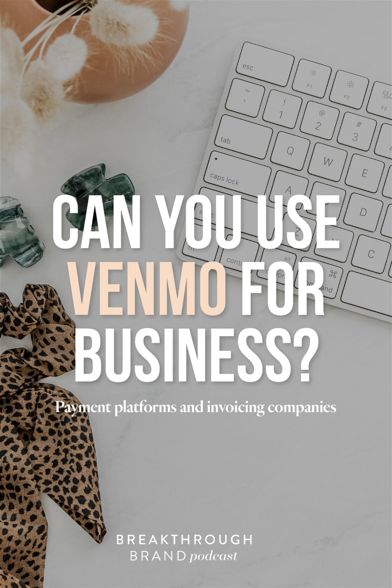 Stop Using Venmo To Avoid Fees When Accepting Money In Your Business