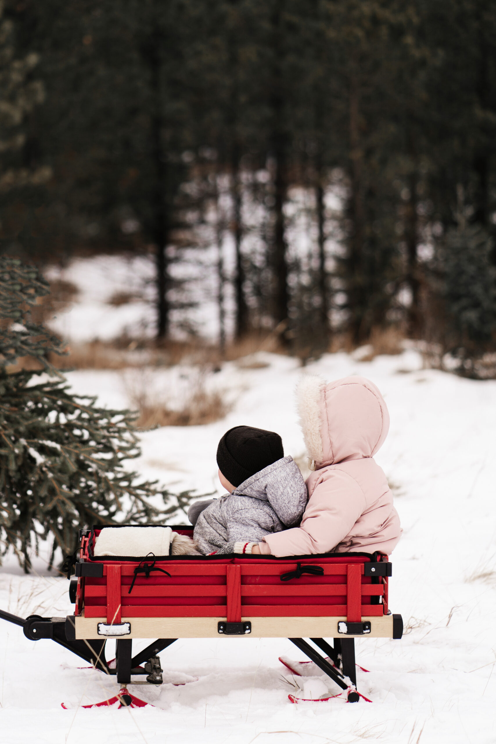having traditions to make planning for Christmas easier